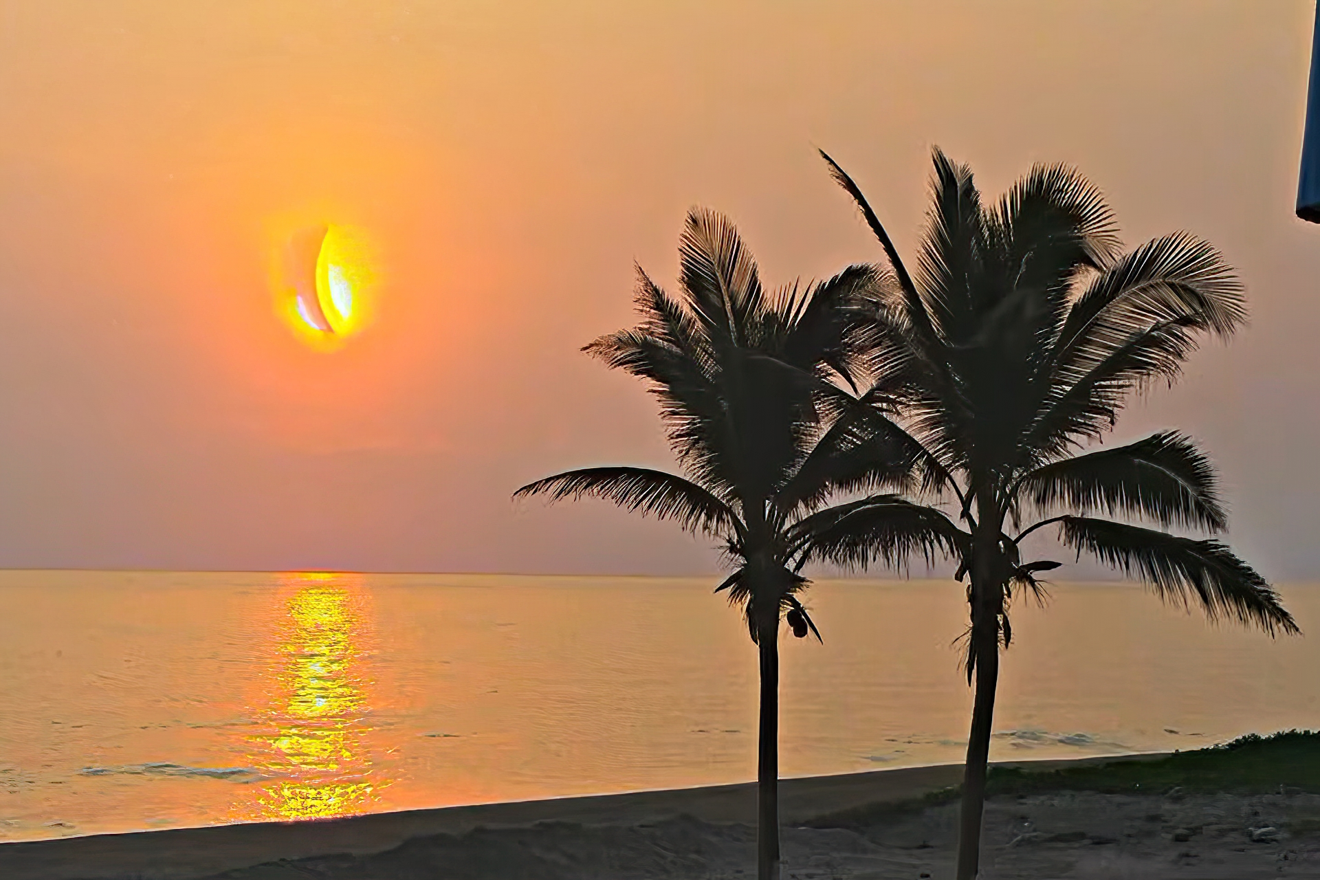 Green Apartment Sunset